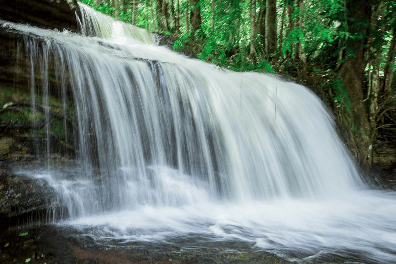 Cachoeira da Asframa - Cachoeiras de Presidente Figuereido