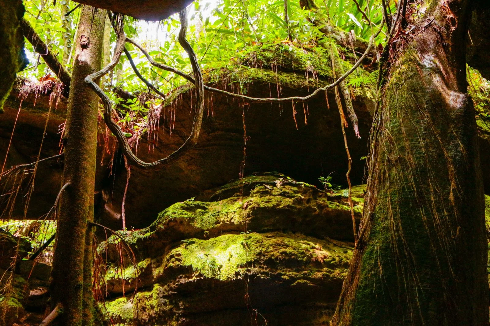 Grutas do Madadá Parque Nacional de Anavilhanas