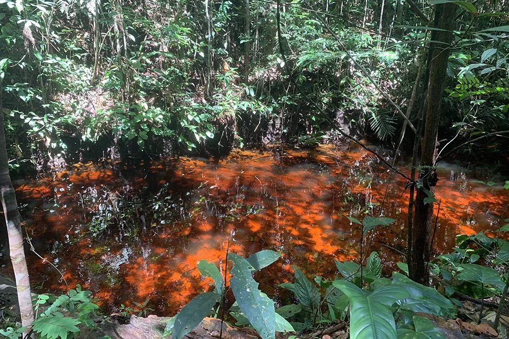rio vermelho em presidente figueiredo