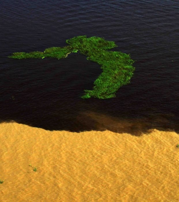 anaclaudiajatahy_econtro-das-guas_manaus_am_41107583642_o